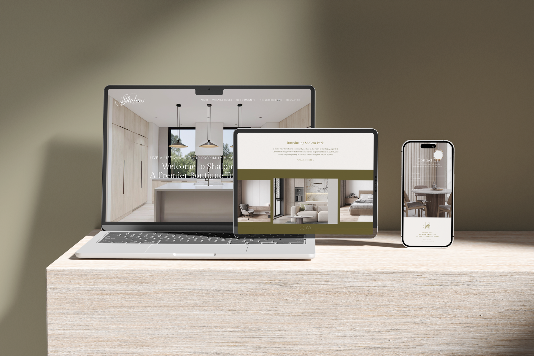 Shalom Park website mockup brand application image