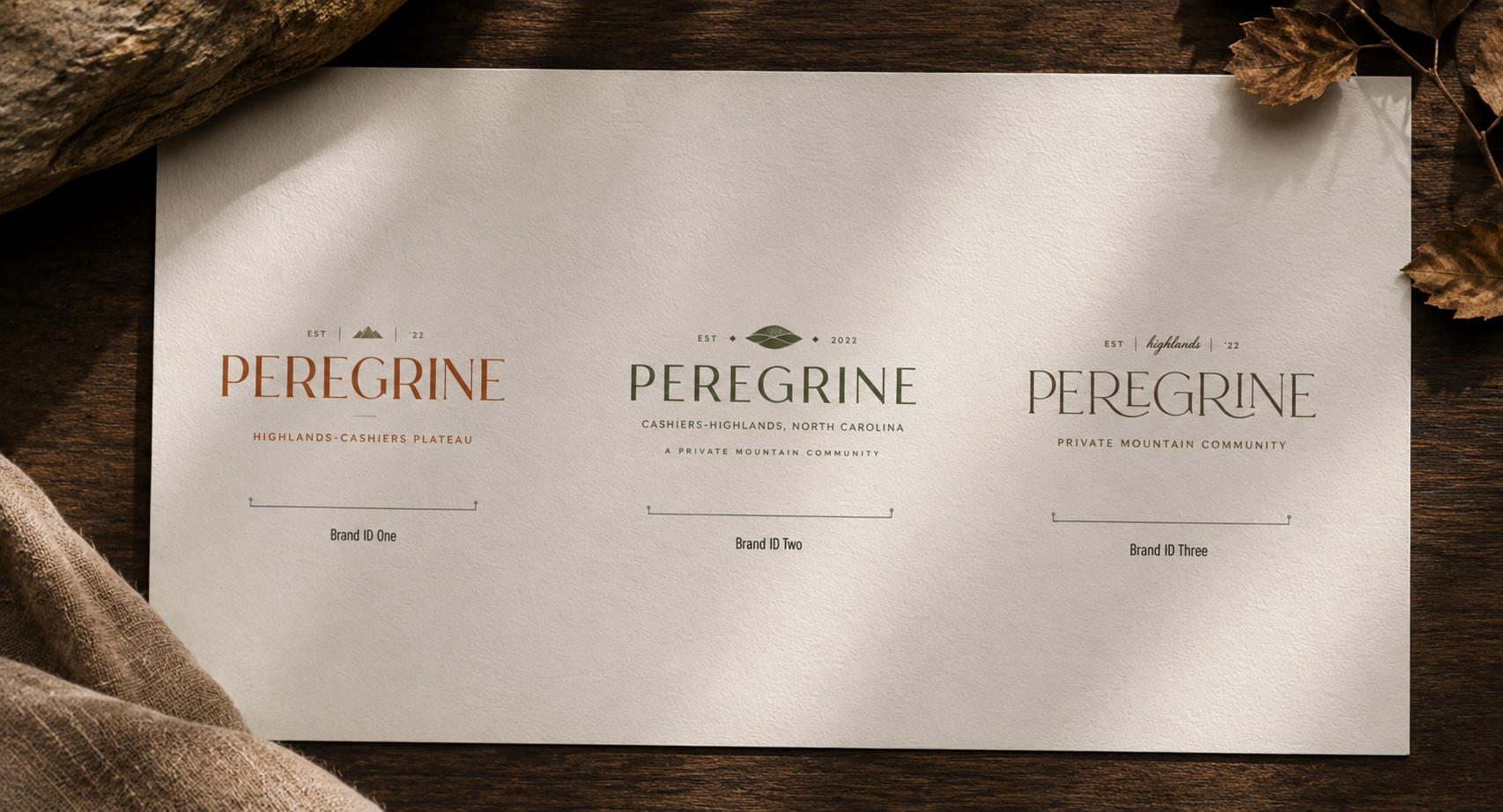 Peregrine brand discovery framework and visual identity system